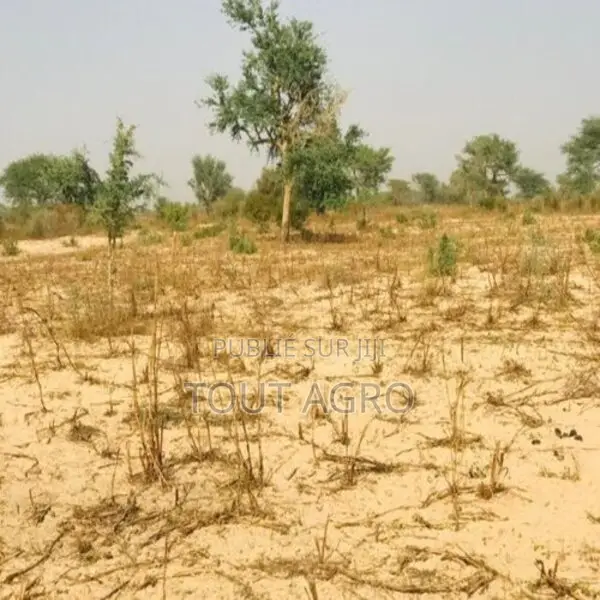 Terrain Agricole De 2,15 Hectares Vers Méouane