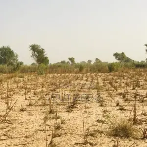 Terrain Agricole De 2,15 Hectares Vers Méouane