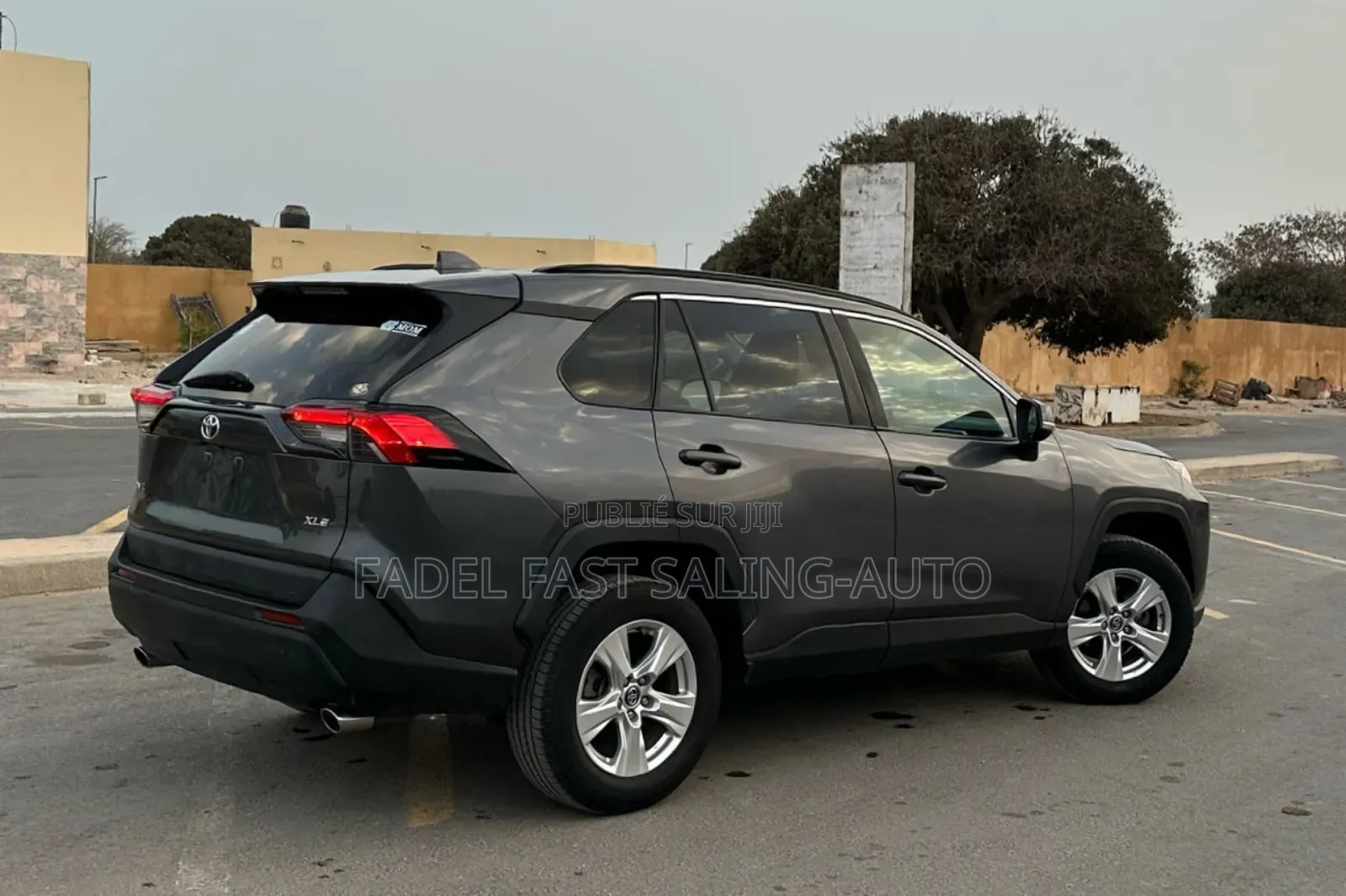 Toyota RAV4 XLE AWD 2020 Gris