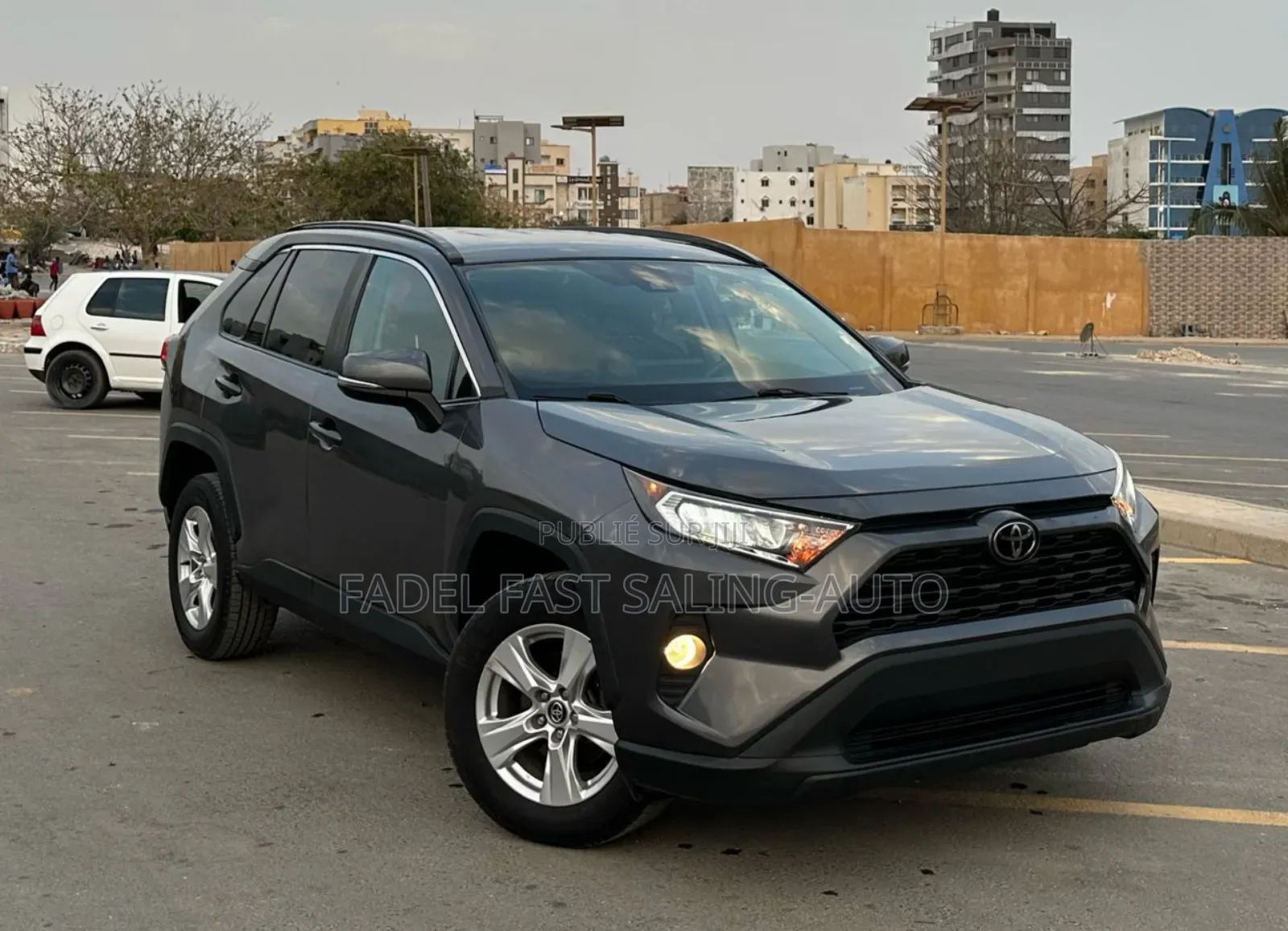 Toyota RAV4 XLE AWD 2020 Gris
