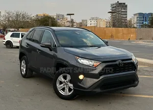 Toyota RAV4 XLE AWD 2020 Gris