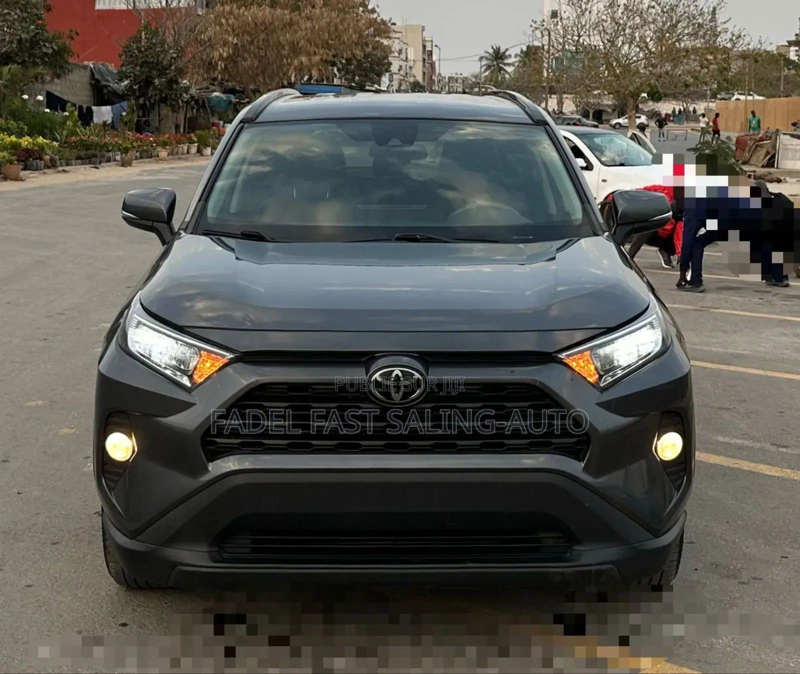 Toyota RAV4 XLE AWD 2020 Gris
