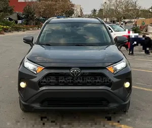 Toyota RAV4 XLE AWD 2020 Gris