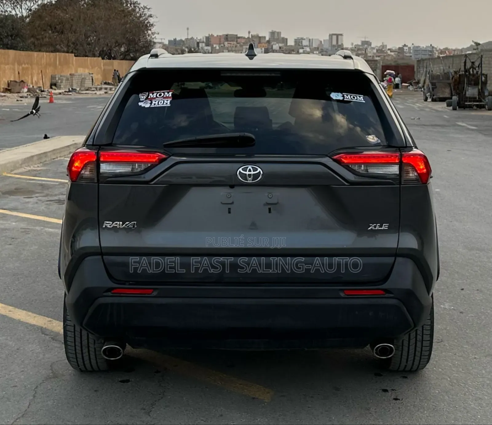 Toyota RAV4 XLE AWD 2020 Gris