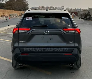 Toyota RAV4 XLE AWD 2020 Gris