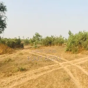 Photo - Terrain Agricole De 39 Hectares Vers Koul
