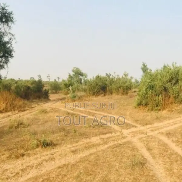Terrain Agricole De 39 Hectares Vers Koul