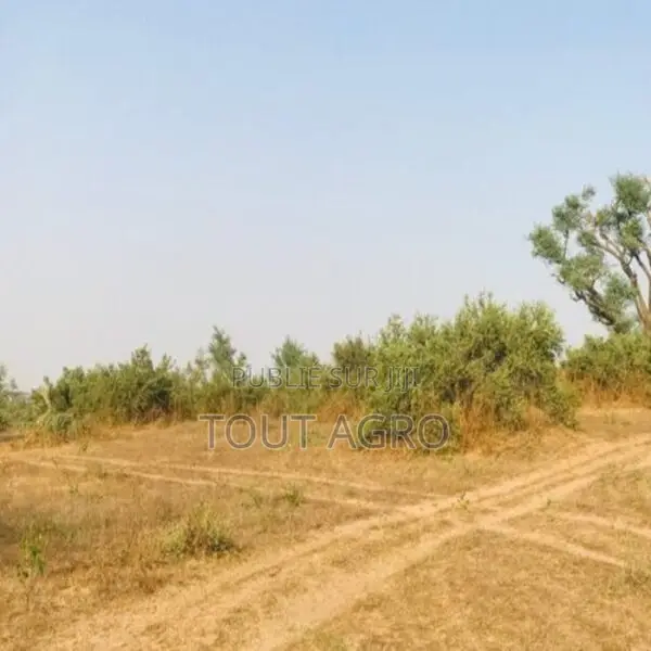 Terrain Agricole De 39 Hectares Vers Koul