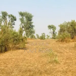 Terrain Agricole De 39 Hectares Vers Koul