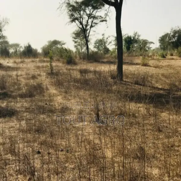 Terrain Agricole De 7406 M2 Vers Méouane