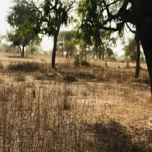 Terrain Agricole De 7406 M2 Vers Méouane