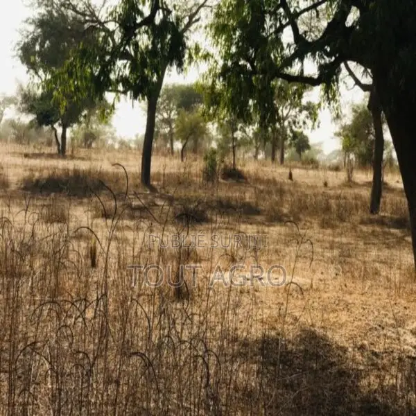 Terrain Agricole De 7406 M2 Vers Méouane