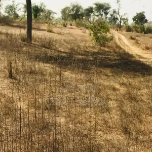 Terrain Agricole De 7406 M2 Vers Méouane