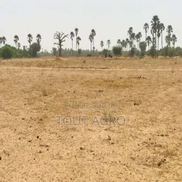 Terrain Agricole De 9103 M2 À Fimela