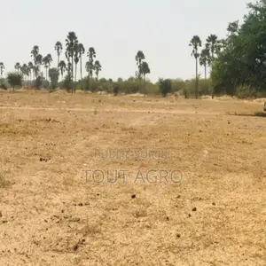 Terrain Agricole De 9103 M2 À Fimela