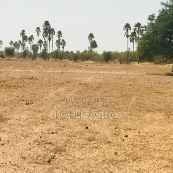 Terrain Agricole De 9103 M2 À Fimela