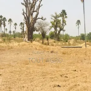Terrain Agricole De 9103 M2 À Fimela