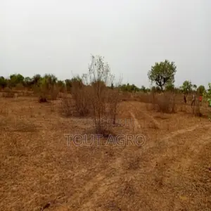 Terrain De 1,01 Hectare Vers Thiénaba