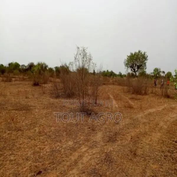 Terrain De 1,01 Hectare Vers Thiénaba
