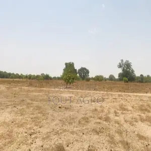 Terrain De 1,04 Hectare Vers Diossong