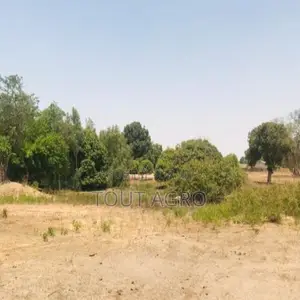 Terrain De 1,04 Hectare Vers Diossong