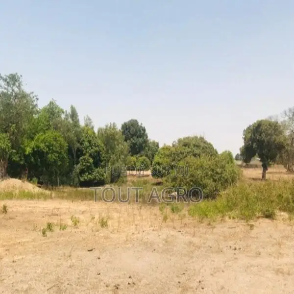 Terrain De 1,04 Hectare Vers Diossong