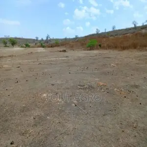 Photo - Terrain De 1,04 Hectare Vers Notto Diobass