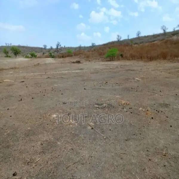 Terrain De 1,04 Hectare Vers Notto Diobass