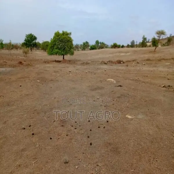 Terrain De 1,04 Hectare Vers Notto Diobass