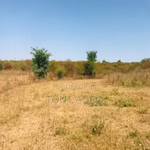 Terrain De 1,11 Hectare Vers Notto Diobass