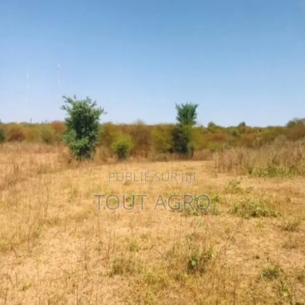 Terrain De 1,11 Hectare Vers Notto Diobass