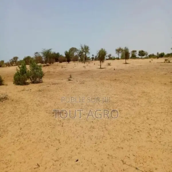 Terrain De 1,14 Hectare Vers Diokoul Diawrigne