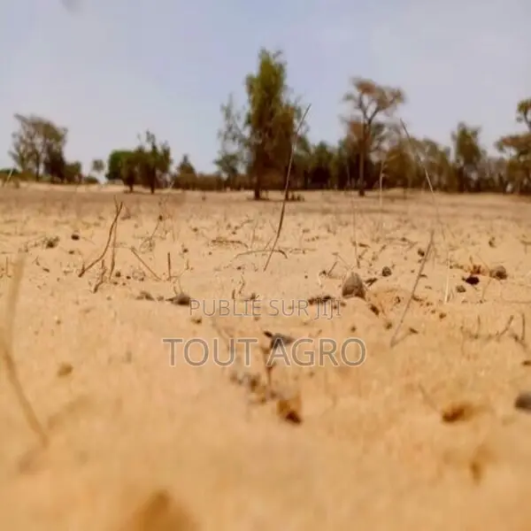 Terrain De 1,14 Hectare Vers Diokoul Diawrigne