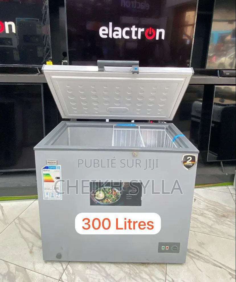 Congélateur Elactron 300l A+