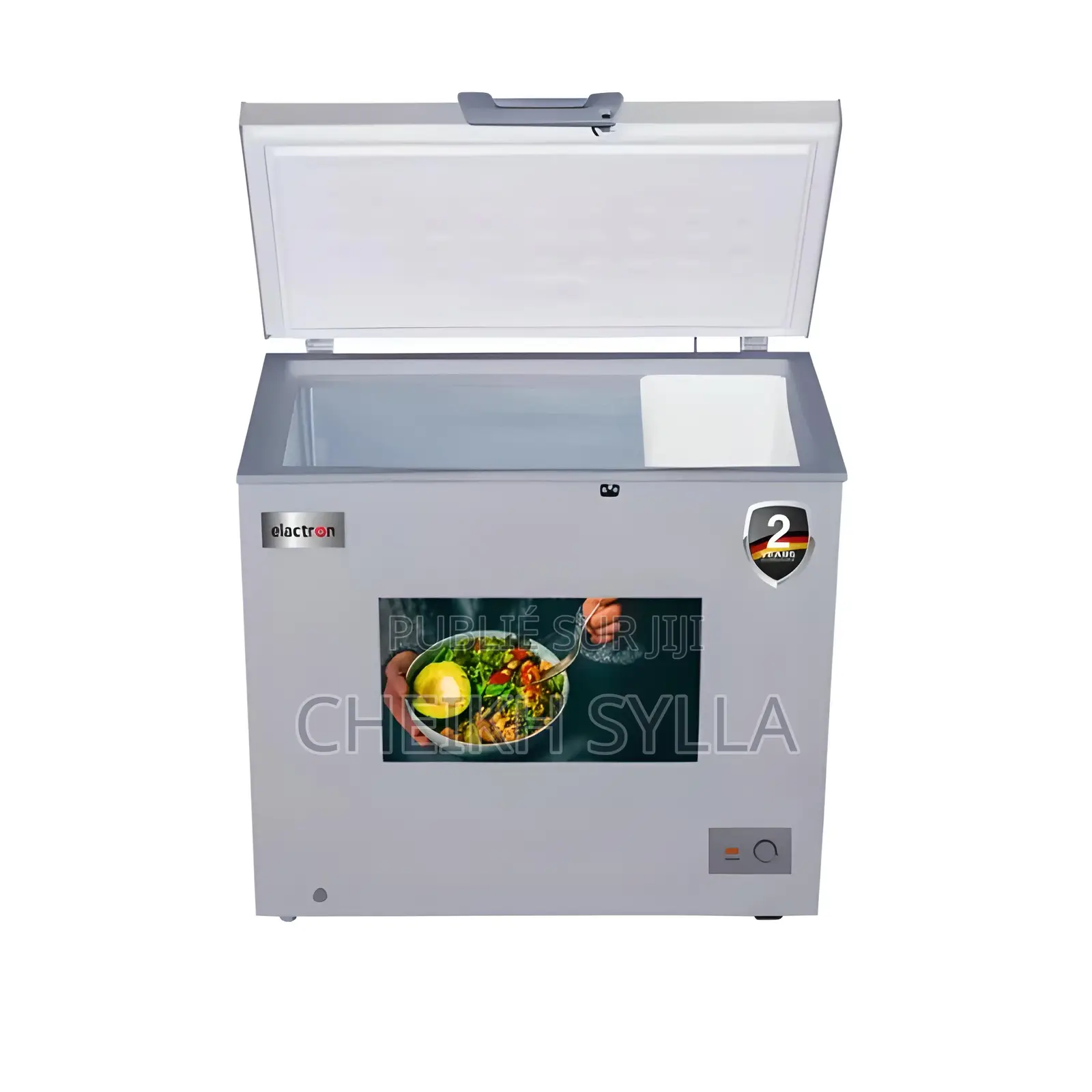 Congélateur Elactron 300l A+