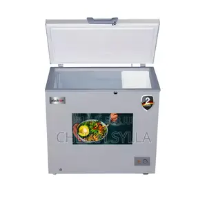 Congélateur Elactron 300l A+