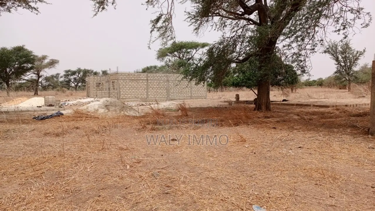 Terrain De 450 Mètres Carrés À Vendre À Malicounda Sénégal