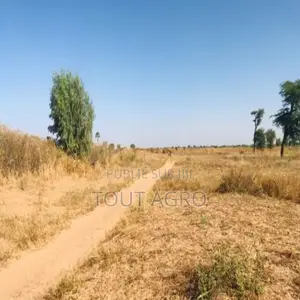 Photo - Terrain De 1,21 Hectare Vers Notto Diobass