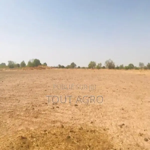 Terrain De 1,23 Hectare Vers Koungheul