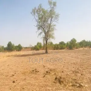 Terrain De 1,23 Hectare Vers Koungheul