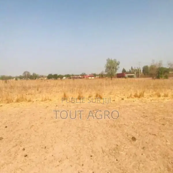 Terrain De 1,23 Hectare Vers Koungheul