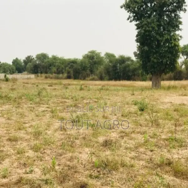 Terrain De 1,26 Hectare Vers Méouane