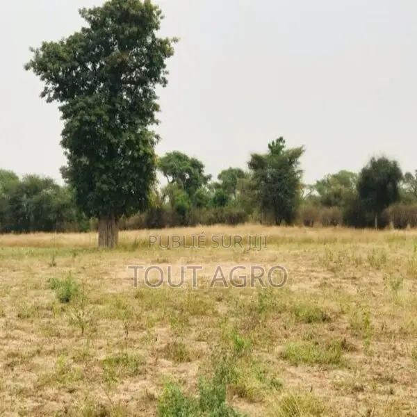 Terrain De 1,26 Hectare Vers Méouane