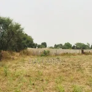 Terrain De 1,26 Hectare Vers Méouane