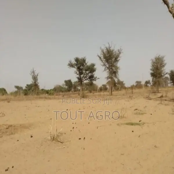 Terrain De 1,27 Hectare Vers Sindia