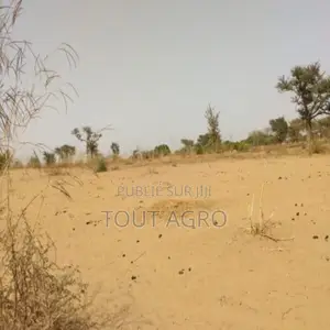 Terrain De 1,27 Hectare Vers Sindia