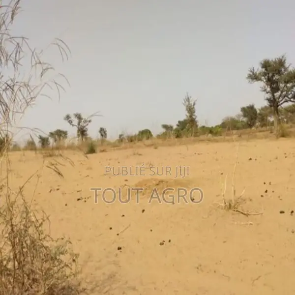 Terrain De 1,27 Hectare Vers Sindia