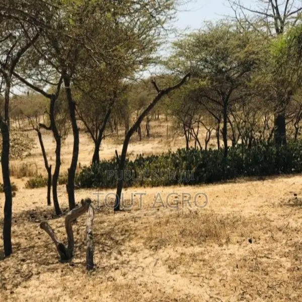 Terrain De 1,28 Hectare Vers Gandiol