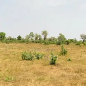 Photo - Terrain De 1,28 Hectare Vers Koul