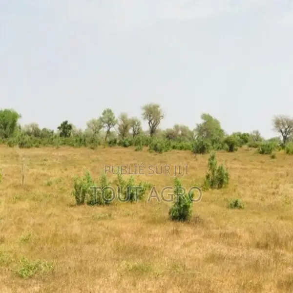 Terrain De 1,28 Hectare Vers Koul